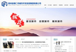 安塞城市开发投资集团有限公司